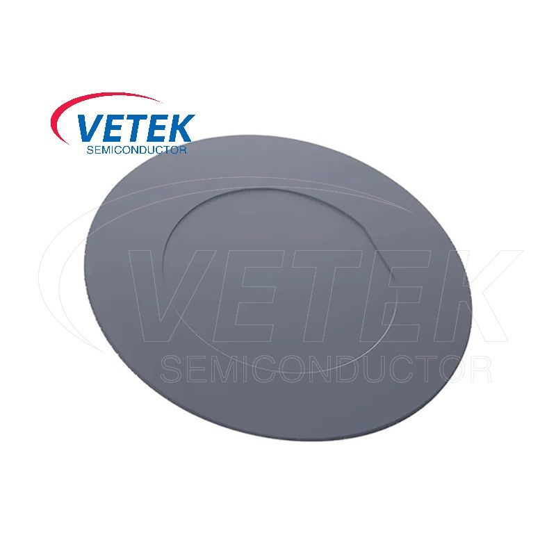 Pemegang wafer bersalut sic
